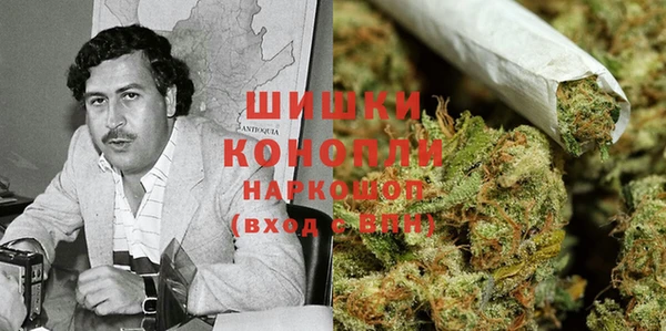 гидропоника Верея