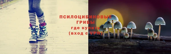 ECSTASY Краснослободск