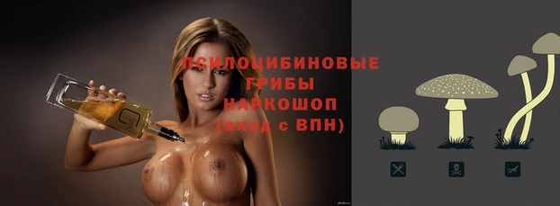 2c-b Верхний Тагил