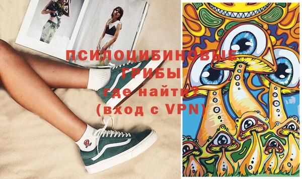 Альфа ПВП Бородино