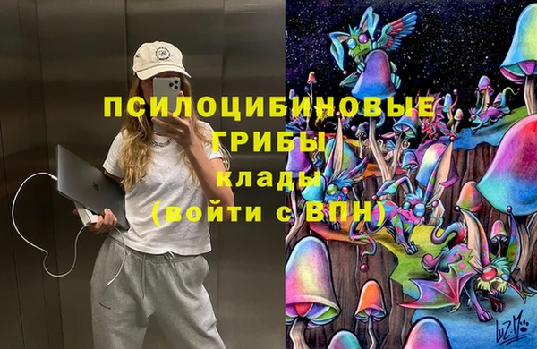 гидропоника Верея